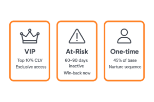 Customer retention segments showing VIP, At-Risk and one-time buyer groups with CLV scores
