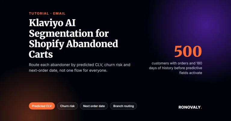 Klaviyo AI segmentation for Shopify abandoned carts: step-by-step setup